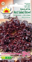Toraf TORAF WARZYWA Sałata Red Salad Bowl 1g nasiona