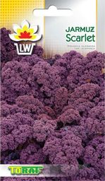 Toraf Jarmuż Scarlet nasiona warzyw 1g TORAF