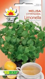 Toraf Melisa cytrynowa Limonella nasiona ziół 0,5g TORAF