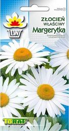 Toraf Złocień Margerytka nasiona kwiatów 1g TORAF