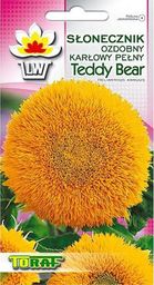 Toraf TORAF KWIATY Słonecznik Teddy Bear nasiona 2g