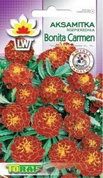 Toraf TORAF KWIATY Aksamitka Bonita Carmen nasiona 1g