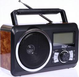 Radio Dartel RD-20
