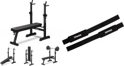 Zipro Core + Gym Straps