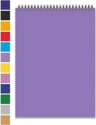 Tadeo Trading Kołobrulion A6 80k. PENMATE mix pastelowy, kratka Tadeo Trading TARGI