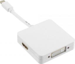 Adapter AV InLine DisplayPort Mini - DisplayPort - HDMI - DVI biały (17195I)