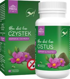 POKUSA Czystek 120 tabl