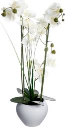 Atmosphera Orchidea w białej doniczce 53 cm