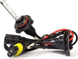 AMiO 01868 Zestaw moto S1068 H8 H9 H11 4300K