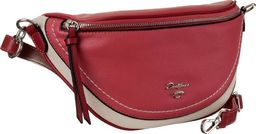 David Jones Listonoszka nerka 2w1 czerwona David Jones 6204-1 WATERMELON RE