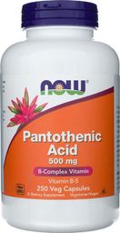  Quicksilver Now Foods Pantothenic Acid kwas pantotenowy 500 mg - 250 kapsułek