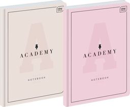 Interdruk Brulion A4 96k. INTETRDRUK 90g Academy pastel, kratka Interdruk