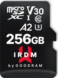 Karta GoodRam IRDM M2AA MicroSDXC 256 GB Class 10 UHS-I/U3 A2 V30 (IR-M2AA-2560R12)