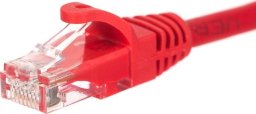 NetRack patchcord RJ45, kat. 6 UTP, 0.25m czerwony - BZPAT0256R