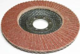 Silver ŚCIERNICA LISTK.SILVER 125 P 100 EX10055 SILVER