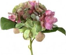  Leonardo Kwiat Hortensia 18 różowy Poesia