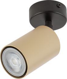 Lampa sufitowa Sigma Spot sufitowy LED Ready Sigma ZOOM 33319