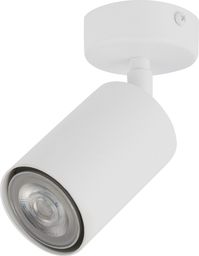 Lampa sufitowa Sigma Spot natynkowy LED Ready Sigma ZOOM 33314