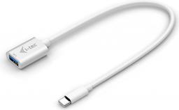 Adapter USB I-TEC USB-C - USB Biały  (C31ADA)
