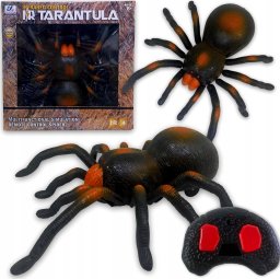 Adar Pająk Tarntula na radio 525115