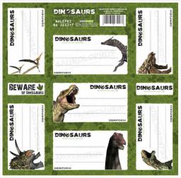  Derform Nalepki na zeszyty Dinozaur (DERF.NNZDN)