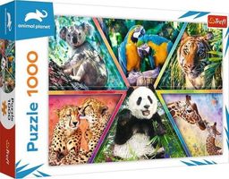  Trefl Puzzle 1000 elementów Królestwo zwierząt Animal Planet