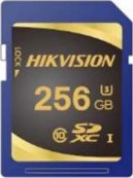 Karta Hikvision SDXC 256 GB Class 10 UHS-I/U3 V30 (HS-SD-P10(STD)/256G)
