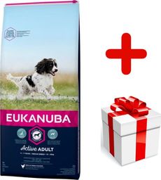 EUKANUBA Eukanuba active adult medium breed chicken 15kg + niespodzianka dla psa GRATIS!