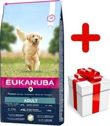  EUKANUBA Eukanuba adult large breed lamb&rice 12kg + niespodzianka dla psa GRATIS!