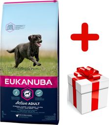  EUKANUBA Eukanuba adult large breed chicken 15kg + niespodzianka dla psa GRATIS!