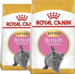 Royal Canin ROYAL CANIN British Shorthair Kitten 2x10kg karma sucha dla kociąt, do 12 miesiąca, rasy brytyjski krótkowłosy