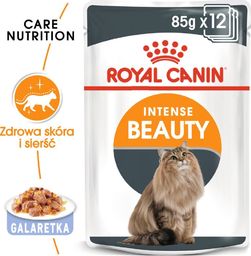  Royal Canin ROYAL CANIN Intense Beauty 24x85g w galaretce karma mokra dla kotów dorosłych, zdrowa skóra, piękna sierść