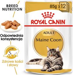  Royal Canin ROYAL CANIN Maine Coon Adult saszetka 24x85g (Sos)