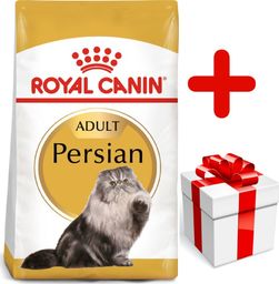  Royal Canin ROYAL CANIN Persian Adult 10kg karma sucha dla kotów dorosłych rasy perskiej + niespodzianka dla kota GRATIS!