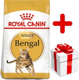  Royal Canin ROYAL CANIN Bengal Adult 10kg karma sucha dla kotów dorosłych rasy bengal + niespodzianka dla kota GRATIS!