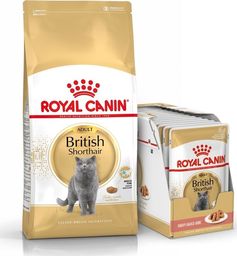  Royal Canin ROYAL CANIN British Shorthair 2kg + 12x British Shorthair Adult saszetka 85g (Sos)