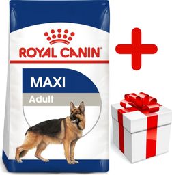  Royal Canin ROYAL CANIN Maxi Adult 15kg karma sucha dla psów dorosłych, do 5 roku życia, ras dużych + niespodzianka dla psa GRATIS!