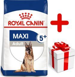  Royal Canin ROYAL CANIN Maxi Adult 5+ 15kg karma sucha dla psów starszych, od 5 do 8 roku życia, ras dużych + niespodzianka dla psa GRATIS!