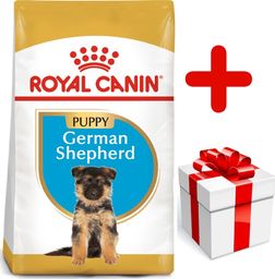  Royal Canin ROYAL CANIN German Shepherd Puppy 12kg karma sucha dla szczeniąt do 15 miesiąca, rasy owczarek niemiecki + niespodzianka dla psa GRATIS!