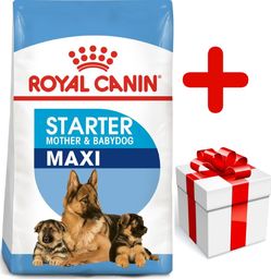  Royal Canin ROYAL CANIN Maxi Starter Mother&Babydog 15kg + niespodzianka dla psa GRATIS!
