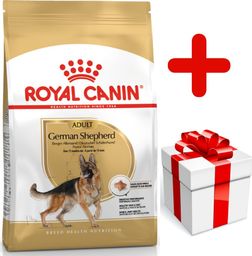 Royal Canin ROYAL CANIN German Shepherd Adult 11kg karma sucha dla psów dorosłych rasy owczarek niemiecki + niespodzianka dla psa GRATIS!