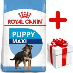  Royal Canin ROYAL CANIN Maxi Puppy 15kg karma sucha dla szczeniąt, od 2 do 15 miesiąca życia, ras dużych + niespodzianka dla psa GRATIS!
