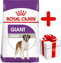  Royal Canin ROYAL CANIN Giant Adult 15kg karma sucha dla psów dorosłych, od 18/24 miesiąca życia, ras olbrzymich + niespodzianka dla psa GRATIS!
