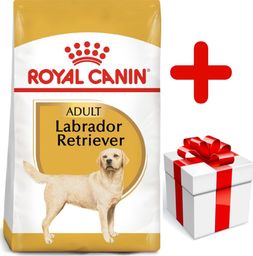  Royal Canin ROYAL CANIN Labrador Retriever Adult 12kg karma sucha dla psów dorosłych rasy labrador retriever + niespodzianka dla psa GRATIS!