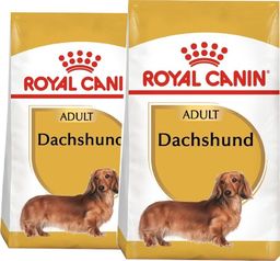  Royal Canin ROYAL CANIN Dachshund 2x7,5kg karma sucha dla psów dorosłych rasy jamnik