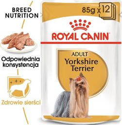  Royal Canin ROYAL CANIN Yorkshire Terrier Adult 24x85g karma mokra - pasztet, dla psów dorosłych rasy yorkshire terrier