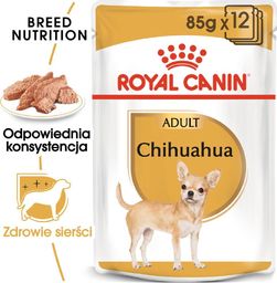 Royal Canin ROYAL CANIN Chihuahua Adult 24x85g karma mokra - pasztet, dla psów dorosłych rasy chihuahua