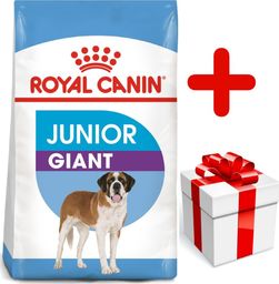 Royal Canin ROYAL CANIN Giant Junior 15kg karma sucha dla szczeniąt od 8 do 18/24 miesiąca życia, ras olbrzymich + niespodzianka dla psa GRATIS!
