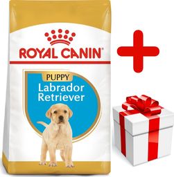  Royal Canin ROYAL CANIN Labrador Retriever Puppy 12kg + niespodzianka dla psa GRATIS!