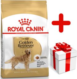  Royal Canin ROYAL CANIN Golden Retriever Adult 12kg karma sucha dla psów dorosłych rasy golden retriever + niespodzianka dla psa GRATIS!